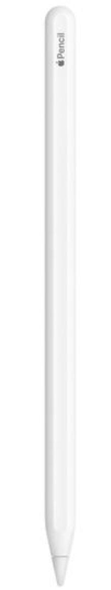 Apple Pencil 2ND Geração A2051 Bluetooth com Conector Magnetico