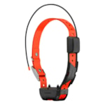 Coleira com GPS Garmin Alpha TT 25 Dog Collar - Preto -12b8a863-69e3-4dd6-962e-fc119b1d5092