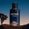 Perfume Christian Dior Sauvage eau de Toilette Masculino - 100ml-f5da232b-0c1c-4a2e-8836-cb580f5ac8af