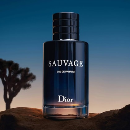 Perfume Christian Dior Sauvage eau de Toilette Masculino - 100ml