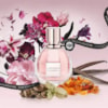 Perfume Flower Bomb Viktor & Rolf Feminino Eau De Parfum 100ml-42aa9e11-8b6c-4807-84f3-9b4a753c98cd