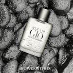 Perfume Giorgio Armani Acqua Di Gio eau de Toilette Masculino - 100ml-9fa45654-f167-4c2f-9a18-f4a7624615b4