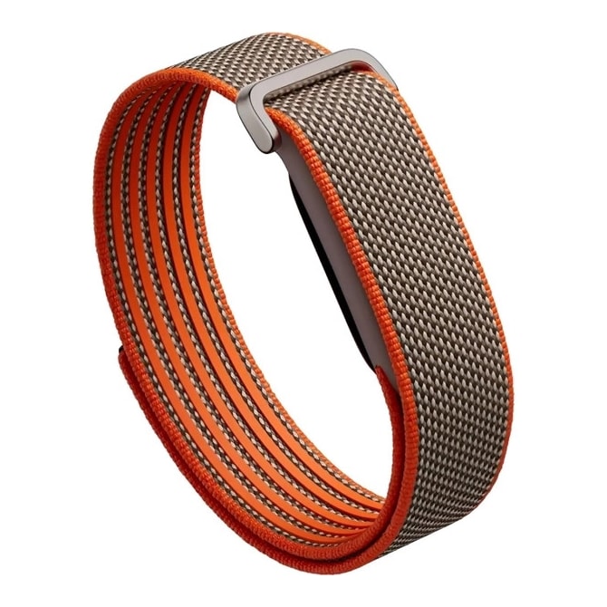 Rastreador Google Fitbit Air Special Edition Bluetooth 5.0 - Marrom-66f19499-a41e-4624-8938-25c5b26ddcac