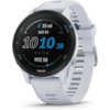 Smartwatch Garmin Forerunner 255 Music 010-02641-20 com 4GB / 5 Atm / Bluetooth - Branco-864ea9ad-c946-405a-bf07-701c4a0adeba